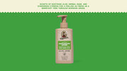 Cool Fresh Aloe Lotion - Daily Glow