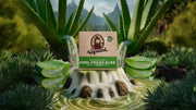 Cool Fresh Aloe - Daily Fresh