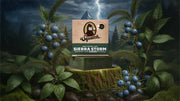Sierra Storm - Modern Blend