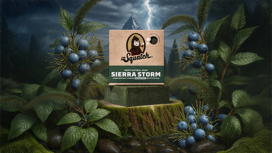 Sierra Storm - Modern Blend