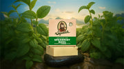 Spearmint Basil - Clean Feel