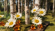 Birchwood Breeze Spray Deodorant - Modern Blend