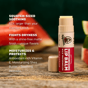 Lip Balm 4-Pack - Clean Bundle