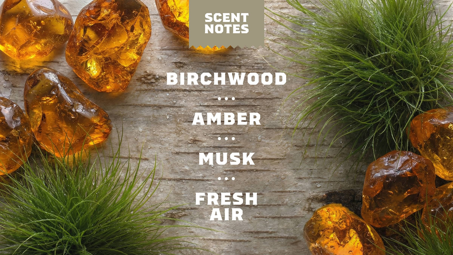 14 oz Birchwood Breeze Body Wash - Easy Spritz