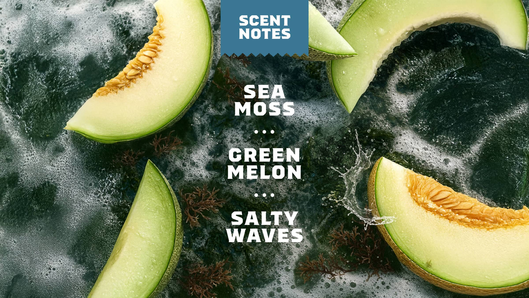 Coastal Mist - Bright Scent