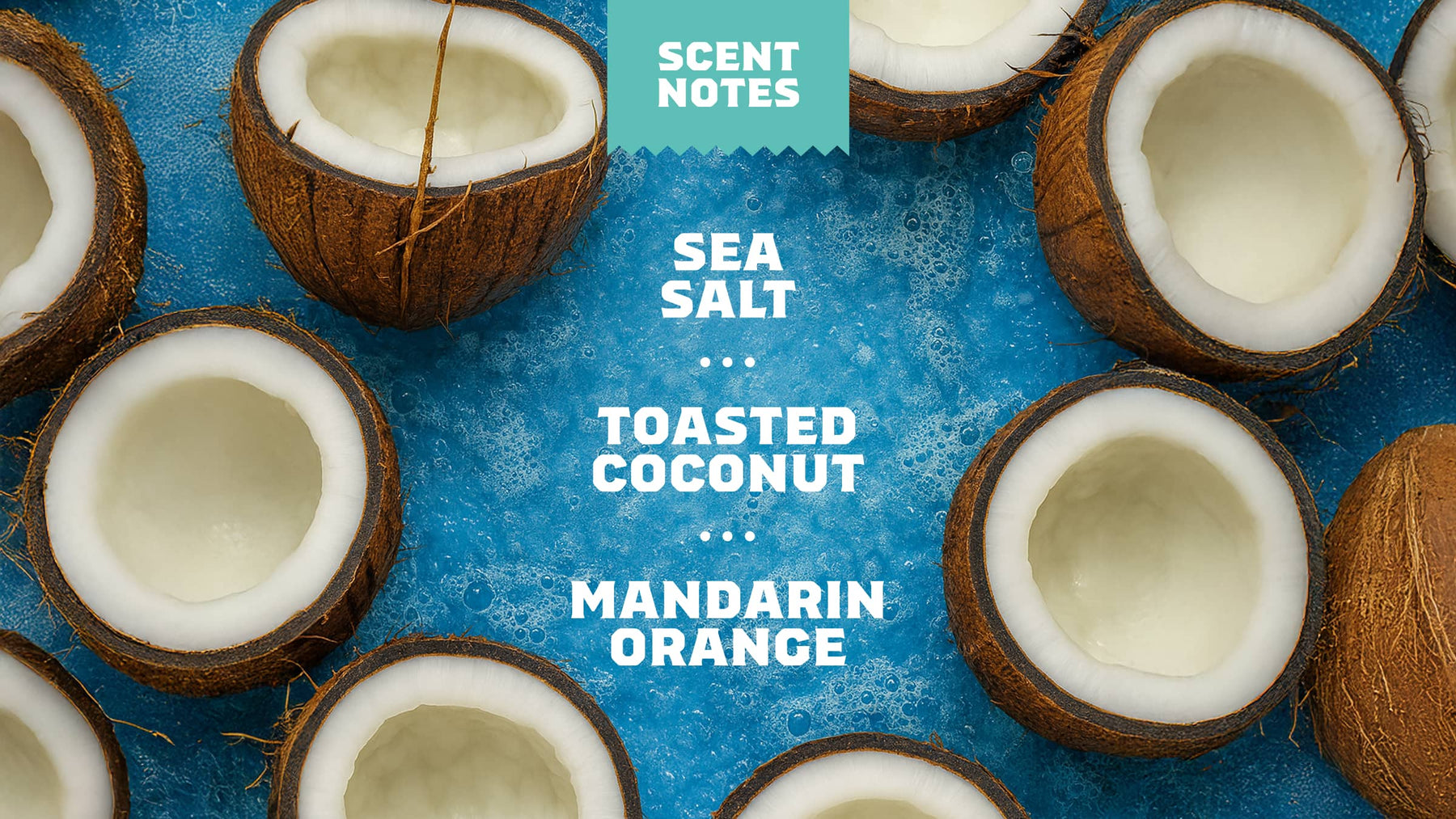 Coconut Castaway Conditioner - Easy Spritz