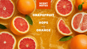 Grapefruit IPA - Daily Comfort