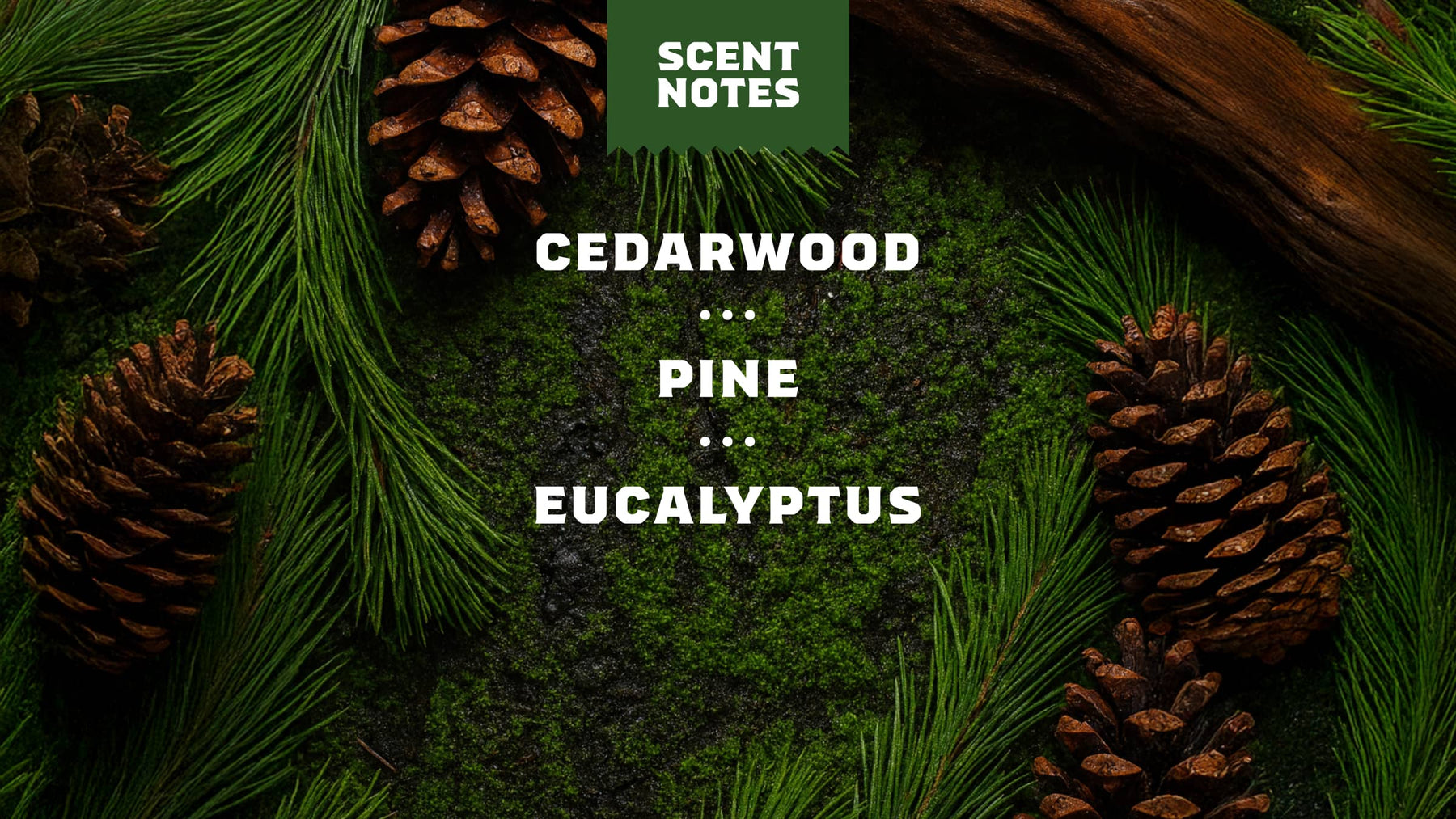 Conditioning Beard Oil & Cologne Woodland Pine - Fresh Reset