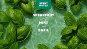 Spearmint Basil - Clean Feel