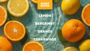 14 oz Summer Citrus Body Wash - Modern Blend