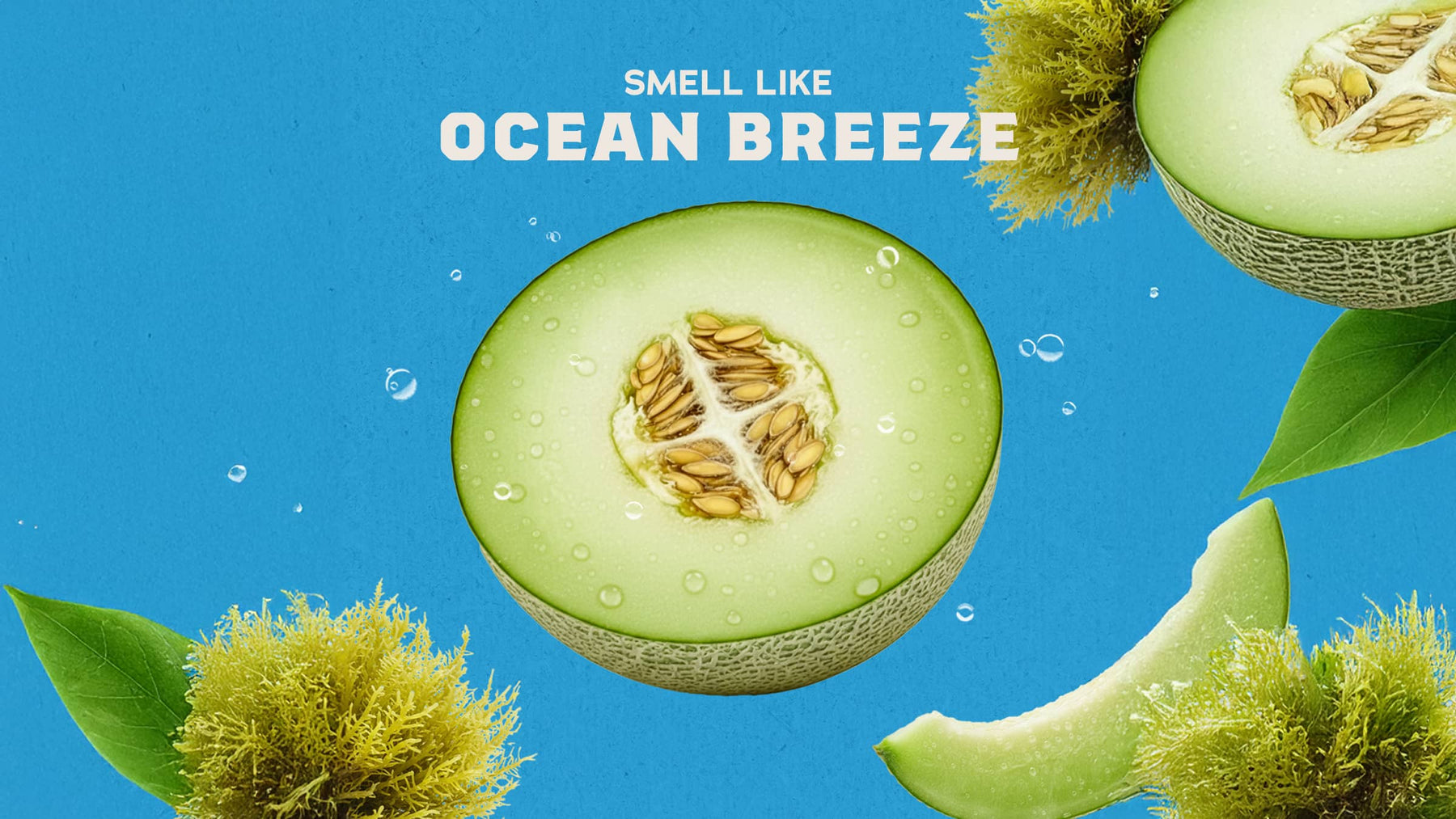 Coastal Mist - Easy Spritz