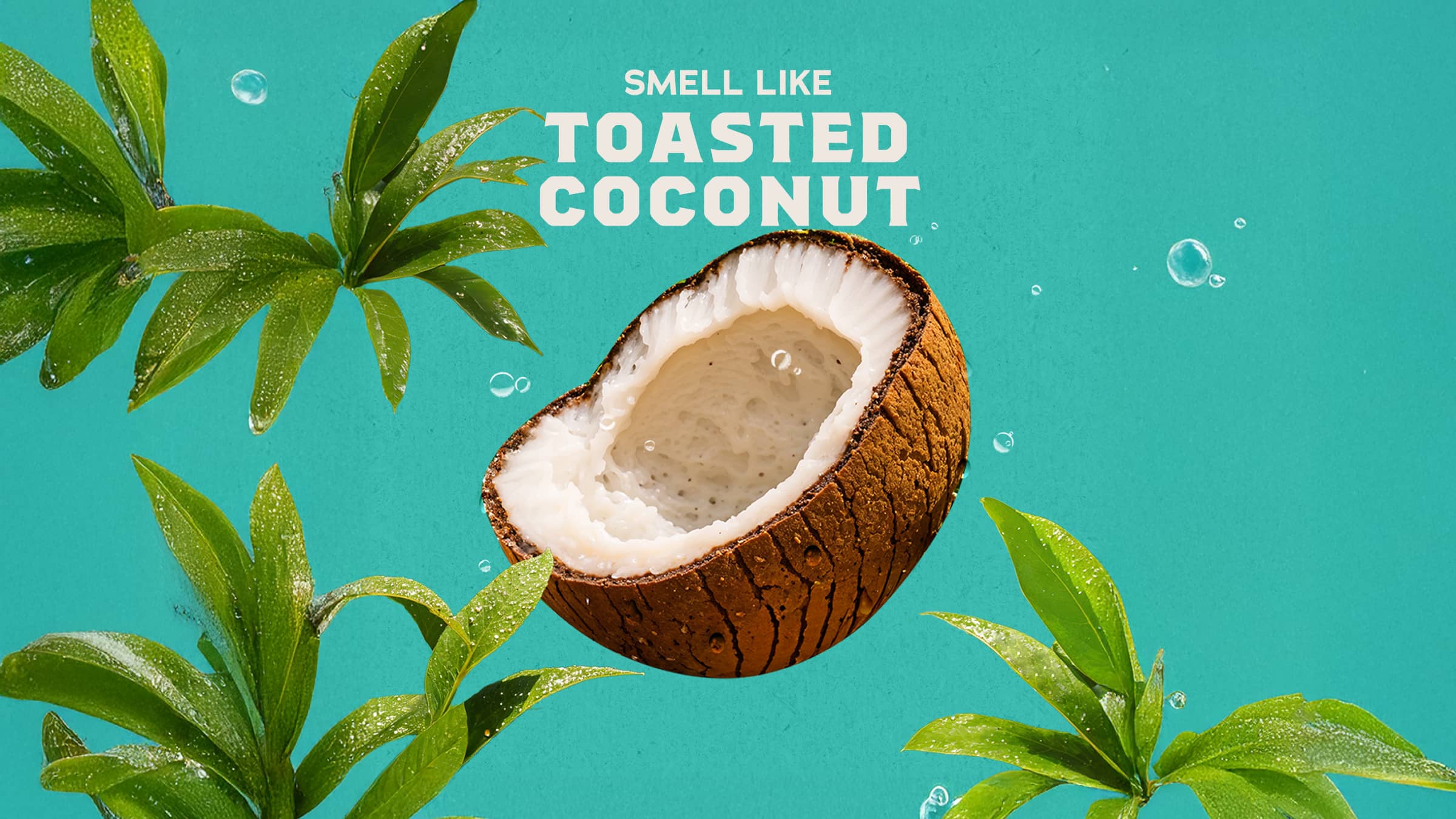 14 oz Coconut Castaway Body Wash - Warm Blend