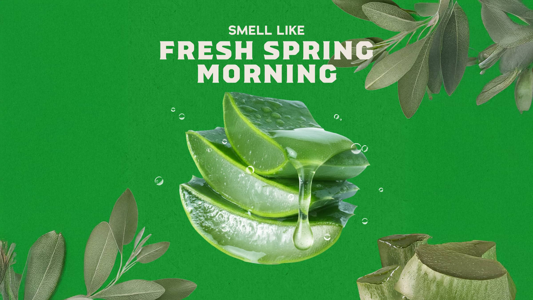 Cool Fresh Aloe - Daily Fresh