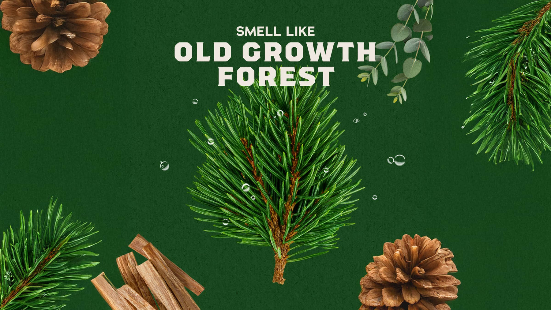 Conditioning Beard Oil & Cologne Woodland Pine - Fresh Reset