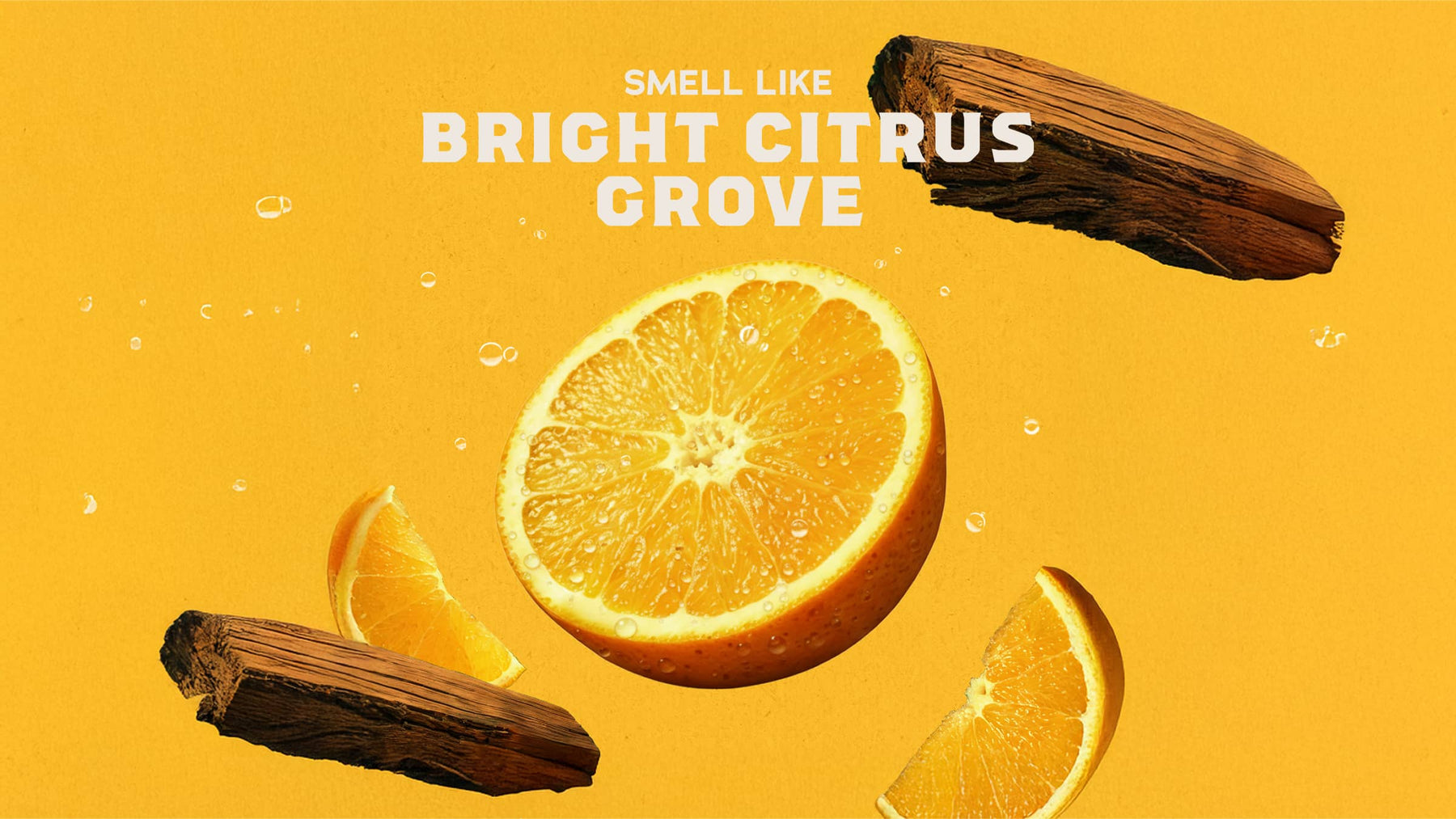 14 oz Summer Citrus Body Wash - Warm Blend